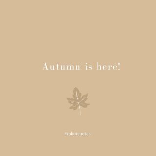 // El otoño está aquí..Su luz es sabia y madura,su color reflejo de tonalidades cálidas🍁
.
.
#autumn #thoughts #quotes #tokutquotes #escritos #frasedeldia #mensajedeldia #otoño #igersvilafranca #igersterrassa #igersmataro